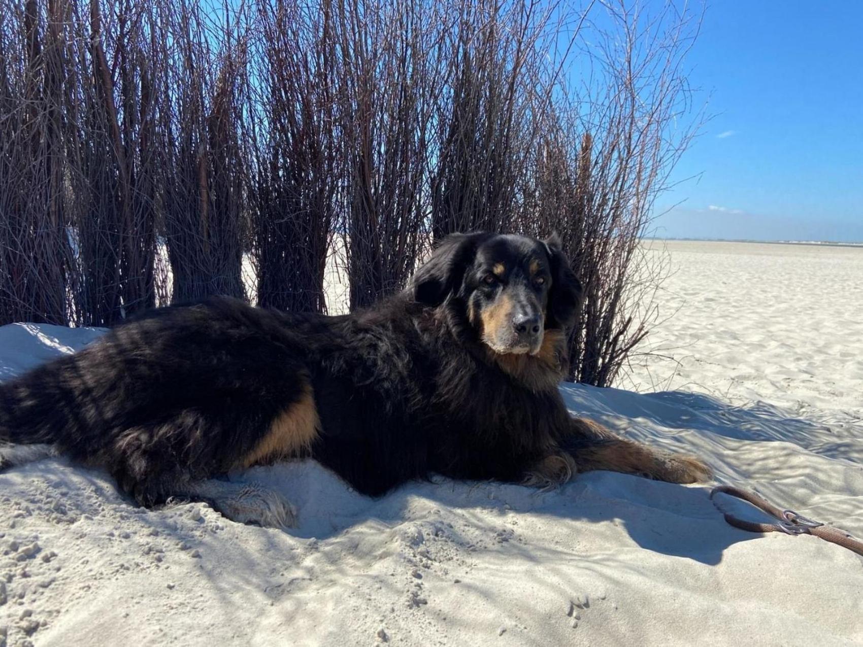 Ferien Im Wangerland - Haus Wiesenweg - Apartment 2 1Og โฮร์มาร์เซียล ภายนอก รูปภาพ